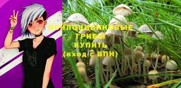 винт Алексеевка