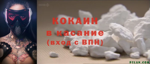соль ск Алзамай