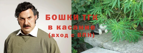 соль ск Алзамай