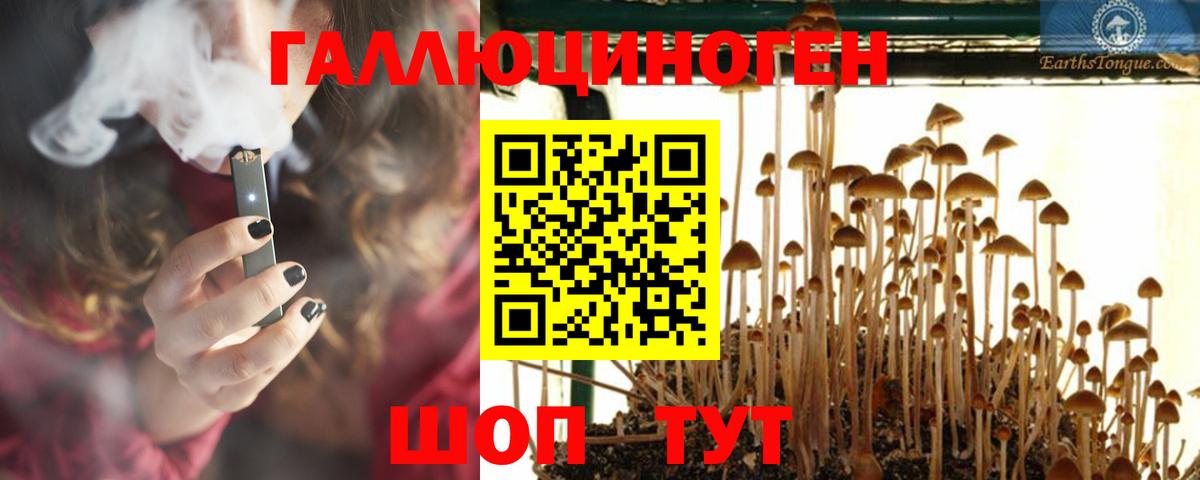 Галлюциногенные грибы GOLDEN TEACHER Краснокамск